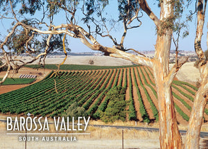 POSTCARD BAROSSA VALLEY SOUTH AUSTRALIA