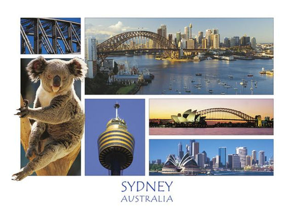 POSTCARD SYDNEY 6SC WITH KOALA