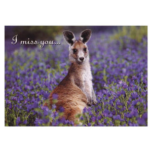 POSTCARD KANGAROO I MISS YOU