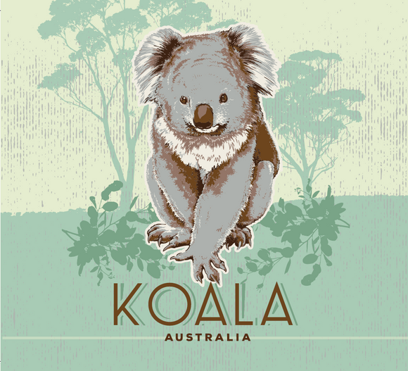 COASTER NON SLIP 6 SET KOALA VINTAGE