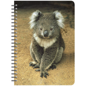 SPIRAL NOTEBOOK KOALA