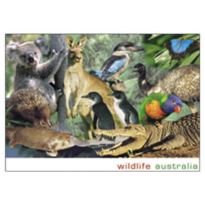 POSTCARD AUST WILDLIFE MONTAGE